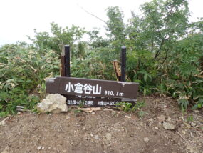 今回の整備出発点 ここから最低暗部手前ピークまでの尾根沿いを整備しました