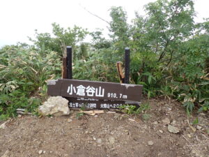 今回の整備出発点 ここから最低暗部手前ピークまでの尾根沿いを整備しました