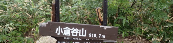 今回の整備出発点　ここから最低暗部手前ピークまでの尾根沿いを整備しました